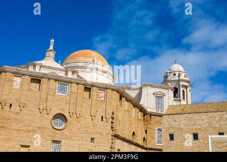 Rückansicht der Kathedrale von Cadiz, Catedral de Santa Cruz de Cadiz. Cadiz, Andalusien, Spanien Stockfoto