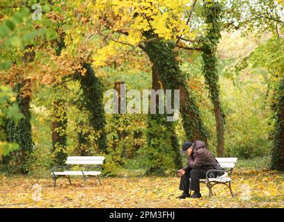 Ein alter Mann sitzt allein auf einer Bank draußen in der Natur. Ein Bild davon, dass er allein im Alter ist. Ein unbekannter alter Mann, der auf einer Bank im Park sitzt Stockfoto