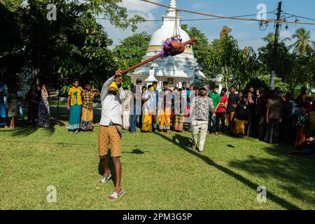 Colombo, Sri Lanka. 09. April 2023. Sri-lankische damma-Schüler nehmen an einer Veranstaltung Teil, bei der am 09. April 2023 in einem Gangarapa-Tempel in Colombo ein hängender Topf mit einem Stock zerbrochen wird, während die Augen verbunden sind, um das singhalesische und tamilische Neujahr zu feiern. Das singhalesische und tamilische Neujahr dämmerte am 13. April. Aber traditionelle Spiele werden auf der ganzen Insel organisiert, um diesen Anlass zu feiern. (Foto: Vimukthi Embuldeniya/Pacific Press/Sipa USA) Guthaben: SIPA USA/Alamy Live News Stockfoto