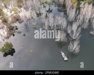 Blick aus der Vogelperspektive auf eine wunderschöne Landschaft mit See und Bergen, Serra da Mesa, Brasilien Stockfoto