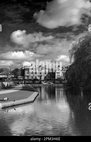 Coombe Abbey and Gardens, in der Nähe von Coventry City, Warwickshire, England, Großbritannien Stockfoto