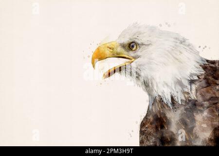 Weißkopfadler. Porträt eines Adlers. Amerikanischer Seeadler. Raubvogel, isoliert mit Kopierraum. Aquarelle, Aquarelle-Illustration. Stockfoto