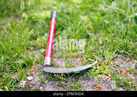 Rote kleine Sense mit grünem Gras. Schärfensensor für die Nahaufnahme zum traditionellen Mähen von Gras. Rote Sense. Unscharf Stockfoto