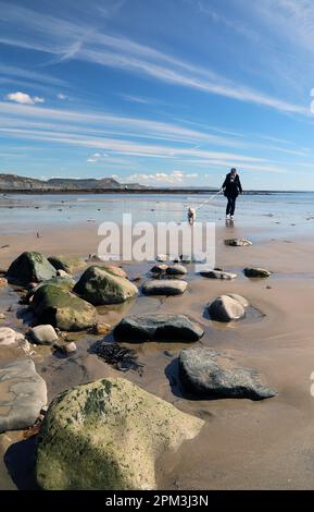 Lyme Regis, Dorset Stockfoto