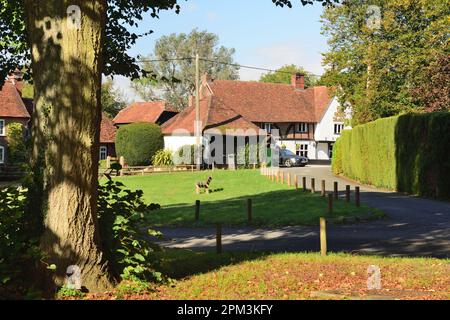 Das Green Dragon Public House in Alderbury, Wiltshire, vom Dorfgrün aus gesehen. Stockfoto