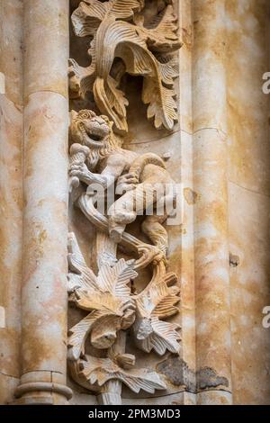 Spanien, Kastilien und León, Salamanca, Bühne auf der Via de la Plata, spanische Wallfahrtsroute nach Santiago de Compostela, die Altstadt, die zum UNESCO-Weltkulturerbe gehört, die Neue Kathedrale, Details der Palmentor-Skulpturen Stockfoto