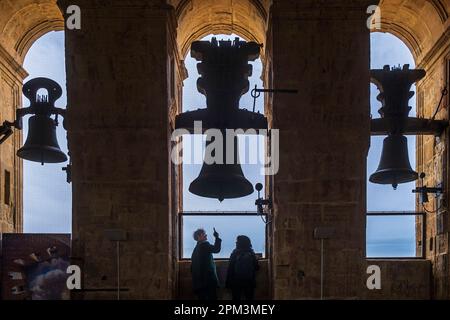 Spanien, Kastilien und León, Salamanca, Bühne auf der Via de la Plata, spanische Wallfahrtsroute nach Santiago de Compostela, die Altstadt, die zum UNESCO-Weltkulturerbe gehört, Glockenraum der Kathedrale Stockfoto