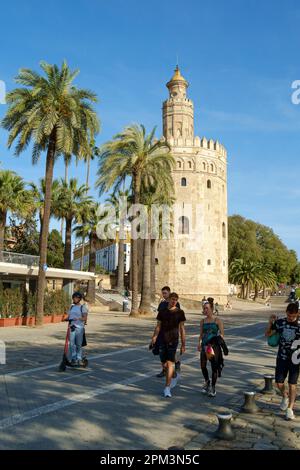 Museo Naval de Torre del Oro oder Turm aus Gold. Sevilla Andalusien Spanien Stockfoto