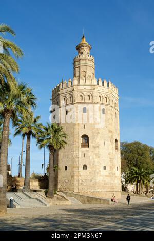 Museo Naval de Torre del Oro oder Turm aus Gold. Sevilla Andalusien Spanien Stockfoto