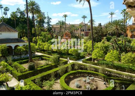 Tanzgärten Real Alcazar Sevilla, UNESCO-Weltkulturerbe Stockfoto