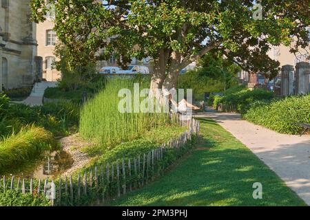 Frankreich, Gers, Auch, Bühne auf dem Weg nach Compostela, Jerome Cuzin Garden Stockfoto