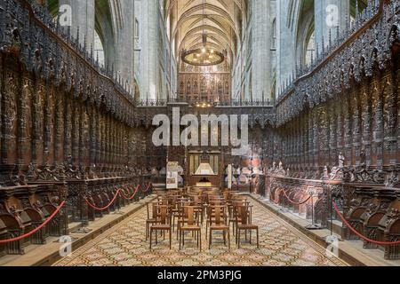 Frankreich, Gers, Auch, die St. Mary Cathedral, die St. Mary Cathedral, von der UNESCO zum Weltkulturerbe erklärt, auf dem Weg nach Compostela, den Eichenständen des Chors Stockfoto