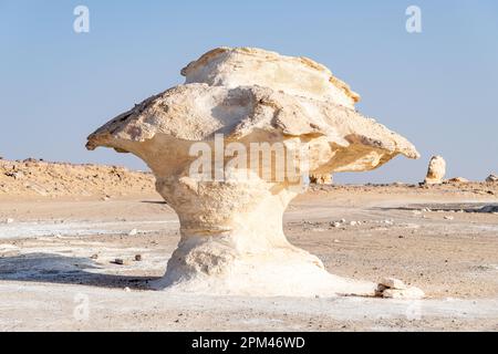 Ein pilzförmiger weißer Felskreide in der weißen Wüste in Bahariya in Ägypten Stockfoto