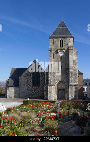 Die mittelalterliche Kirche St. Martins in Saint-Valery-sur-Somme, Frankreich, an einem sonnigen Frühlingsabend mit Tulpen im Vorfeld. Somme-Abteilung. Stockfoto