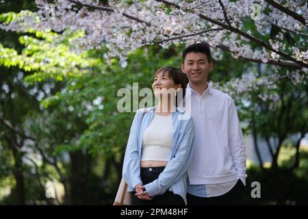 Lächeln junge asiatische Paare genießen Sakura Blume unter weißem Kirschblütenbaum im Frühlingspark Stockfoto