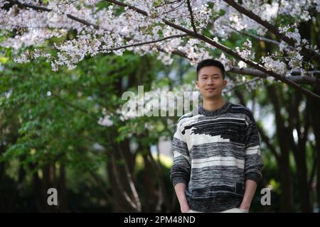 Vorderporträt von Lächeln Ostasiatischer junger Mann in lässigem Pullover, Hände in Taschen. Blick auf die Kamera unter weißem Sakura-Blütenbaum Stockfoto