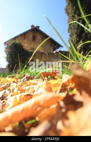 Herbstblick auf einen verlassenen Bahnhof im Libanon. Stockfoto