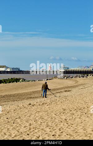 Metalldetektorist, der den Strand in Clacton auf See durchsucht, Stockfoto