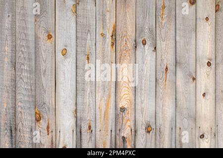 Holzwand aus ungefärbtem Kiefernholz, Vorderansicht, Fotostruktur im Hintergrund Stockfoto