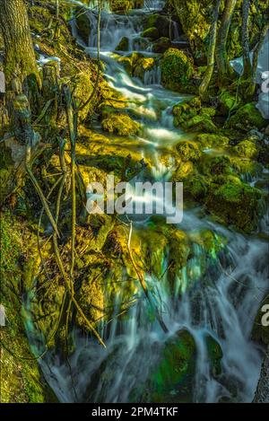 In der Nähe der Quelle fließt der Fluss Orta schnell und schafft Wasserfälle zwischen den Felsen mit grünem Moos. San Giacomo, Sant'Eufemia A Maiella, Abruzzen Stockfoto