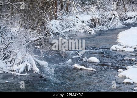 Kleiner kalter Winterfluss, schneebedeckte Bäume und Büsche an der Seite Stockfoto