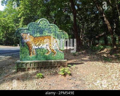 Dandeli, Karnataka, Indien 18. Mai 2019 : Ein Tiger, Panthera tigris, auf dem Schild am Karnataka Tigerreservat. Die Straße führt durch einen tiefen Wald. Stockfoto