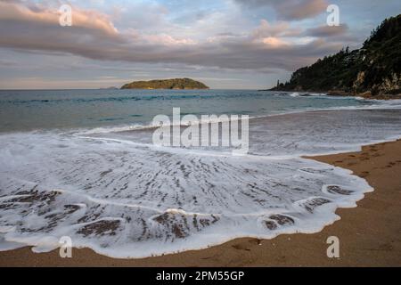 Ocean Beach und Shoe Island (Motuhoa), Tairua, Nordinsel, Neuseeland Stockfoto