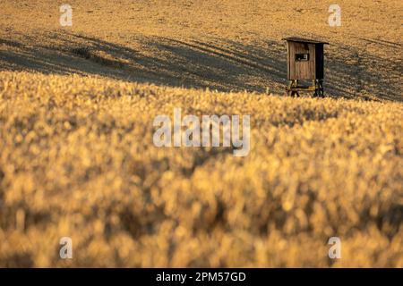 Hölzerner Jagdturm inmitten von Fields - Hunter Hide High Watch Post Stockfoto