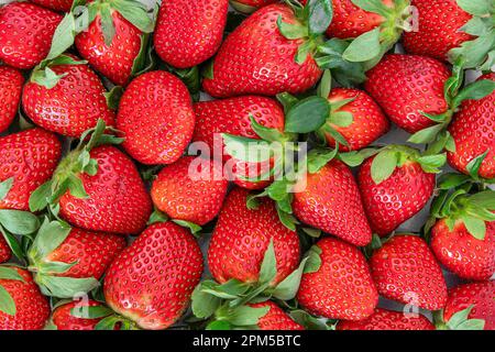 Textur von frischen roten Erdbeeren Stockfoto