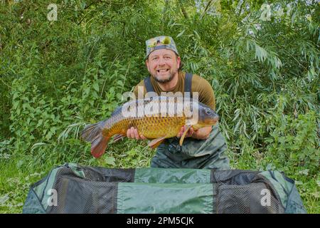 Fisherman hält seinen Fang hoch, ein gemeinsames Karpfen-Modell verfügbar. Stockfoto