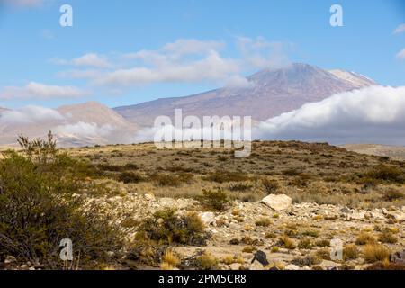 Landschaftsaufnahme des argentinischen Pampa in der Provinz Neuquén - Reisen nach Südamerika Stockfoto