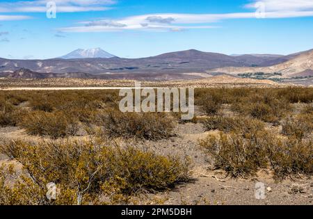 Landschaftsaufnahme des argentinischen Pampa in der Provinz Neuquén - Reisen nach Südamerika Stockfoto