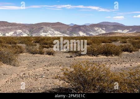 Landschaftsaufnahme des argentinischen Pampa in der Provinz Neuquén - Reisen nach Südamerika Stockfoto