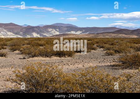 Landschaftsaufnahme des argentinischen Pampa in der Provinz Neuquén - Reisen nach Südamerika Stockfoto