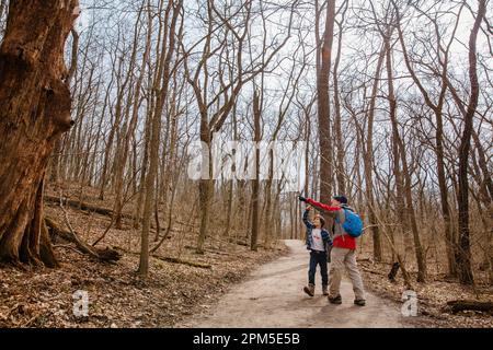 Ein Vater zeigt dem Sohn einen Vogel im Wald, während er wandert Stockfoto