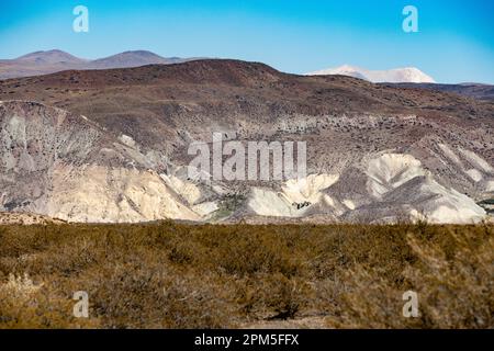 Landschaftsaufnahme des argentinischen Pampa in der Provinz Neuquén - Reisen nach Südamerika Stockfoto