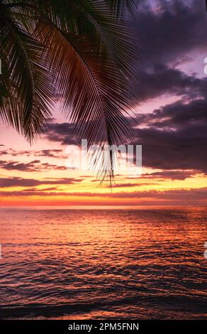 Wunderschöner farbenfroher Sonnenuntergang an einem tropischen Strand in Costa Rica. Stockfoto