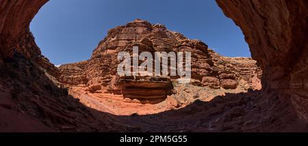 Narrow Bend in South Fork des Soap Creek Canyon, Arizona Stockfoto