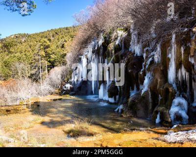 Halbgefrorener Wasserfall am Ende des Winters an der Quelle des Flusses Cuervo, Cuenca, Spanien. Panoramaaufnahme mit Bäumen und Felsen bedeckt mit Tha Stockfoto