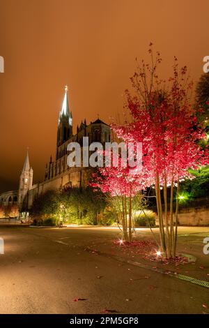 Notre Dame du Rosaire de Lourdes bei Nacht Stockfoto