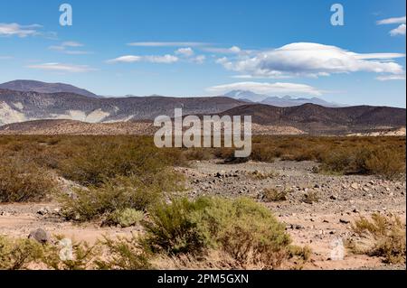 Landschaftsaufnahme des argentinischen Pampa in der Provinz Neuquén - Reisen nach Südamerika Stockfoto