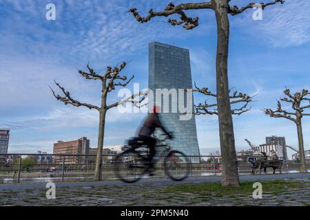 Europäische Zentralbank-Gebäude, EZB, Radweg am Main, Frankfurt, Hessen, Deutschland, Stockfoto