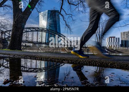 Gebäude der Europäischen Zentralbank, EZB, Uferweg am Main in Frankfurt, Hessen, Deutschland, Stockfoto