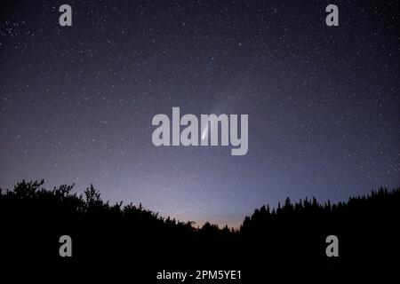 Commet Neowise hat Vail Pass erschossen, Colorado Stockfoto