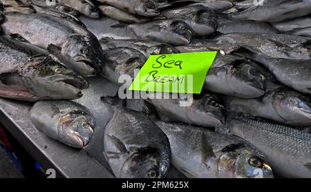 Frischbrasse, am St. George's Market, East Bridge St, Belfast, Antrim, Nordirland, UK, BT1 3NQ Stockfoto