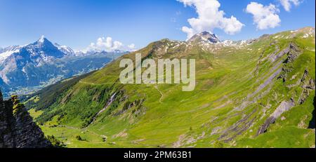 Panoramablick von Grindelwald-First in Richtung Eiger, Jungfrau und Monsch in der Jungfrau-Region der Berner Oberlandalpen, Schweiz Stockfoto