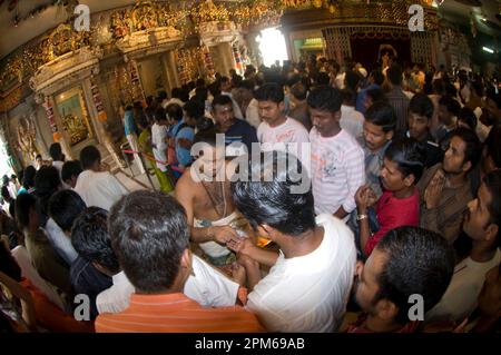 Priester mit Gläubigen bei Deepavali Zeremonie, Sri Veeramakaliamman Tempel, Little India, Singapur Stockfoto