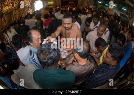 Priester, der bei der Deepavali-Zeremonie, dem Sri Veeramakaliamman-Tempel, Little India, Singapur weißes Bindi auf Anhänger aufbringt Stockfoto