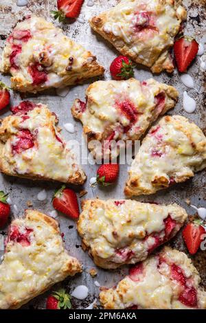 Erdbeercreme-Käse-Scones auf einem Backblech Stockfoto