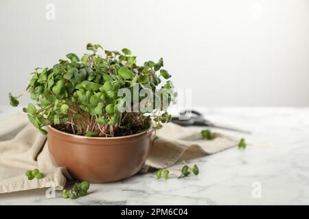 Frische Rettich-Mikrogreens in Schüssel auf weißem Marmortisch, Platz für Text Stockfoto